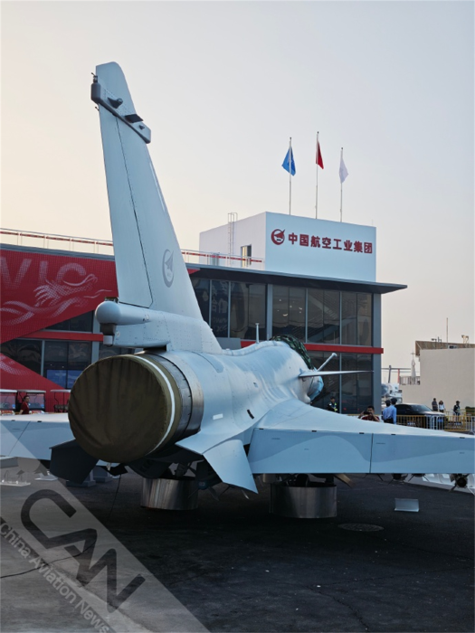 歼10CE 摄影：兰健 (2)